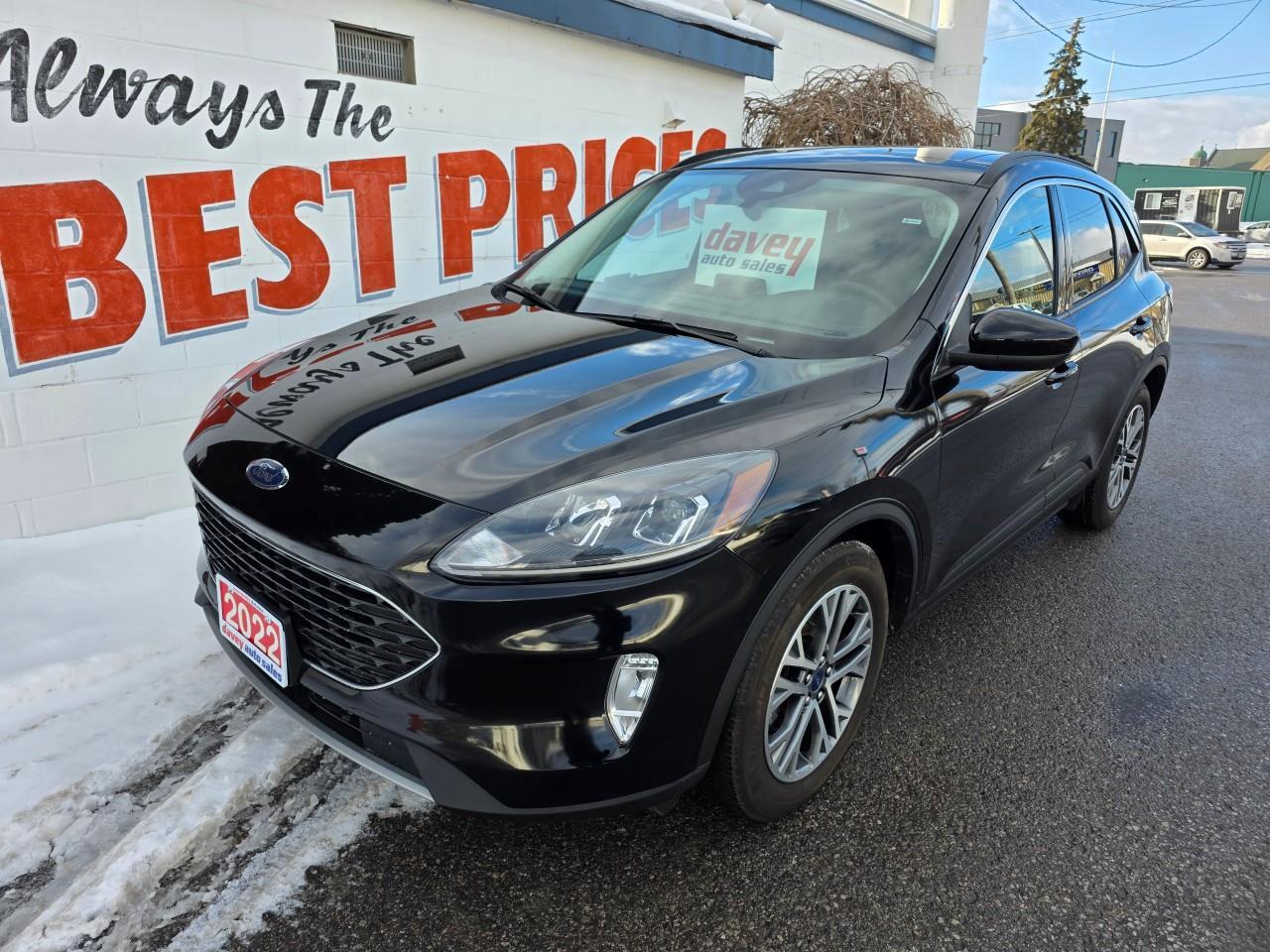 2022 Ford Escape SEL 4dr Front-Wheel Drive Photo0