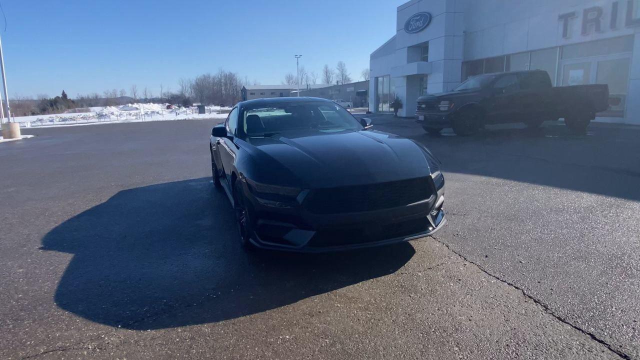 2026 Ford Mustang Fastback EcoBoost Photo2