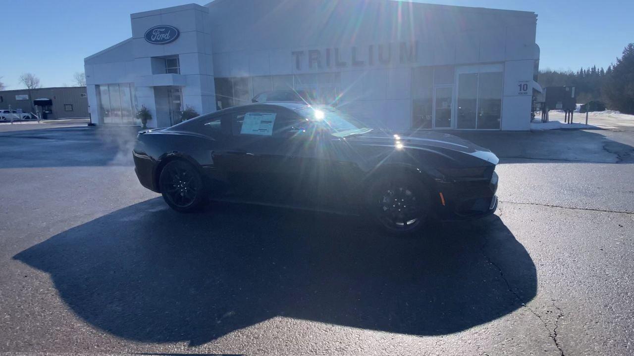 2026 Ford Mustang Fastback EcoBoost Photo