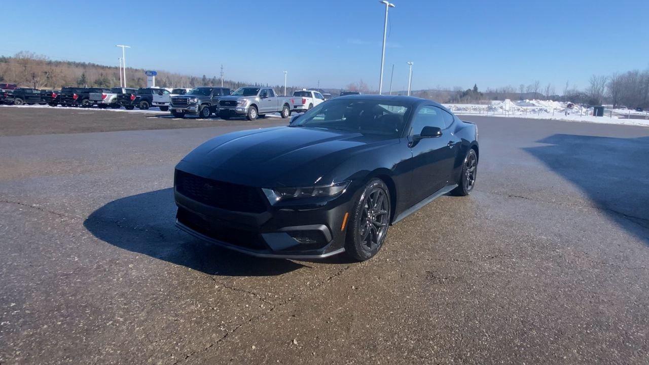 2026 Ford Mustang Fastback EcoBoost Photo