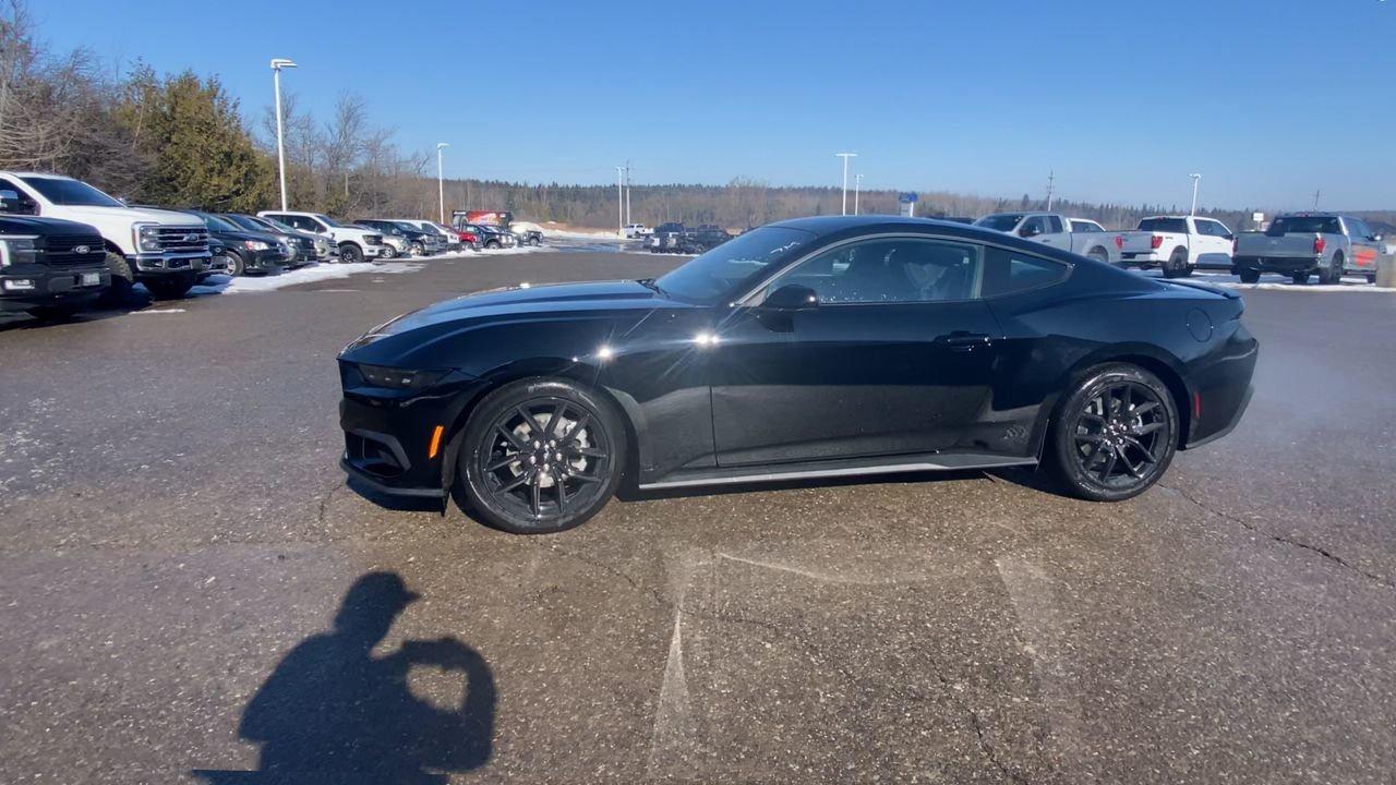 2026 Ford Mustang Fastback EcoBoost Photo4