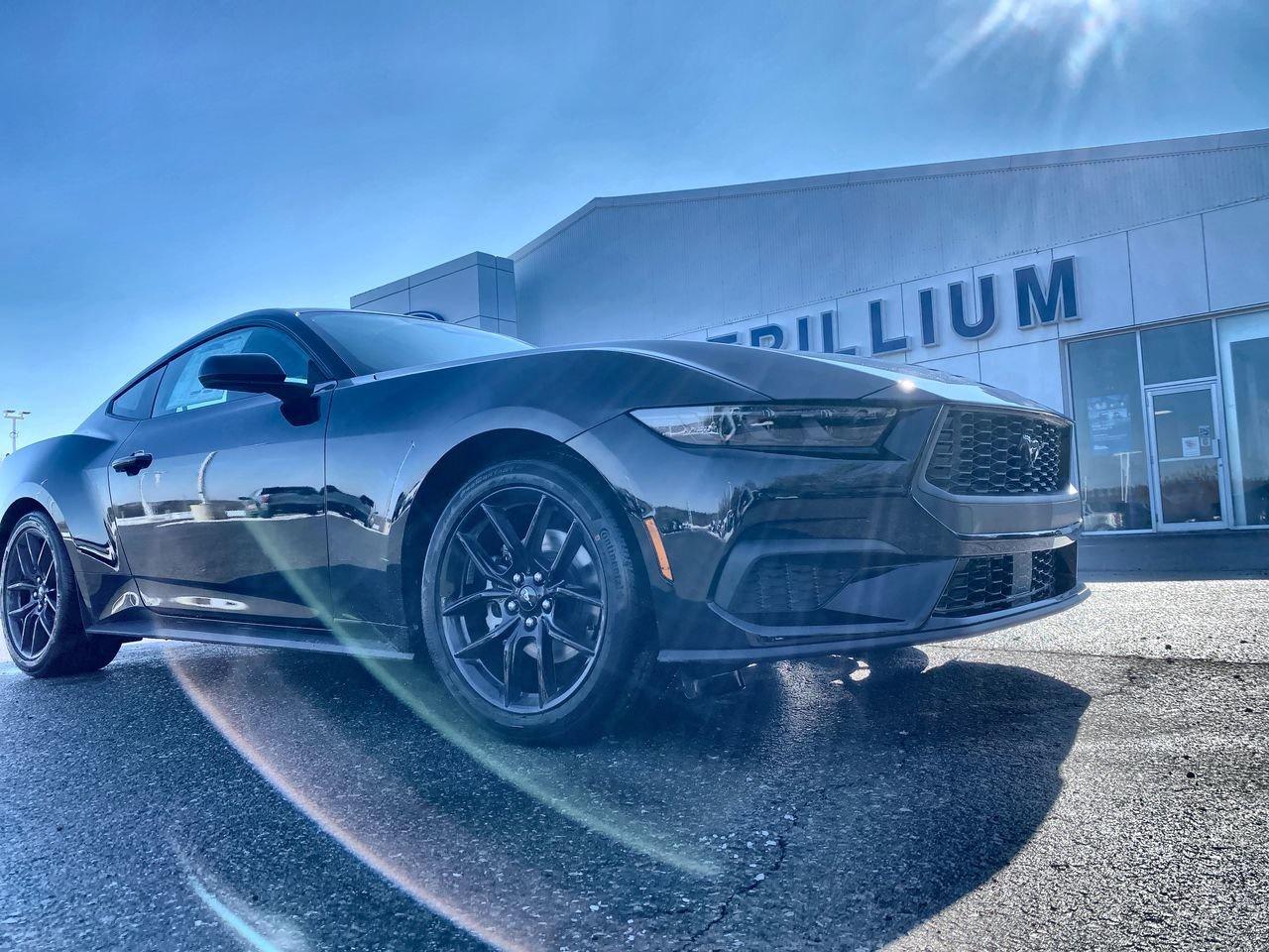 2026 Ford Mustang Fastback EcoBoost Photo