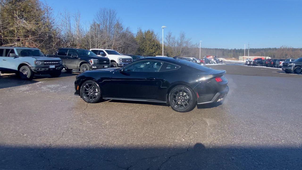 2026 Ford Mustang Fastback EcoBoost Photo