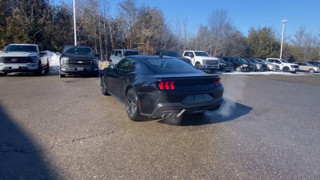 2026 Ford Mustang Fastback EcoBoost Photo