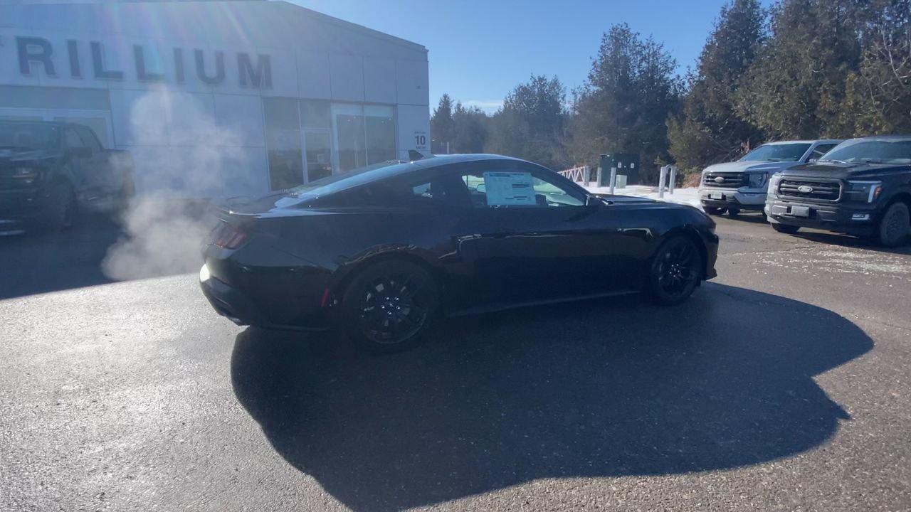 2026 Ford Mustang Fastback EcoBoost Photo