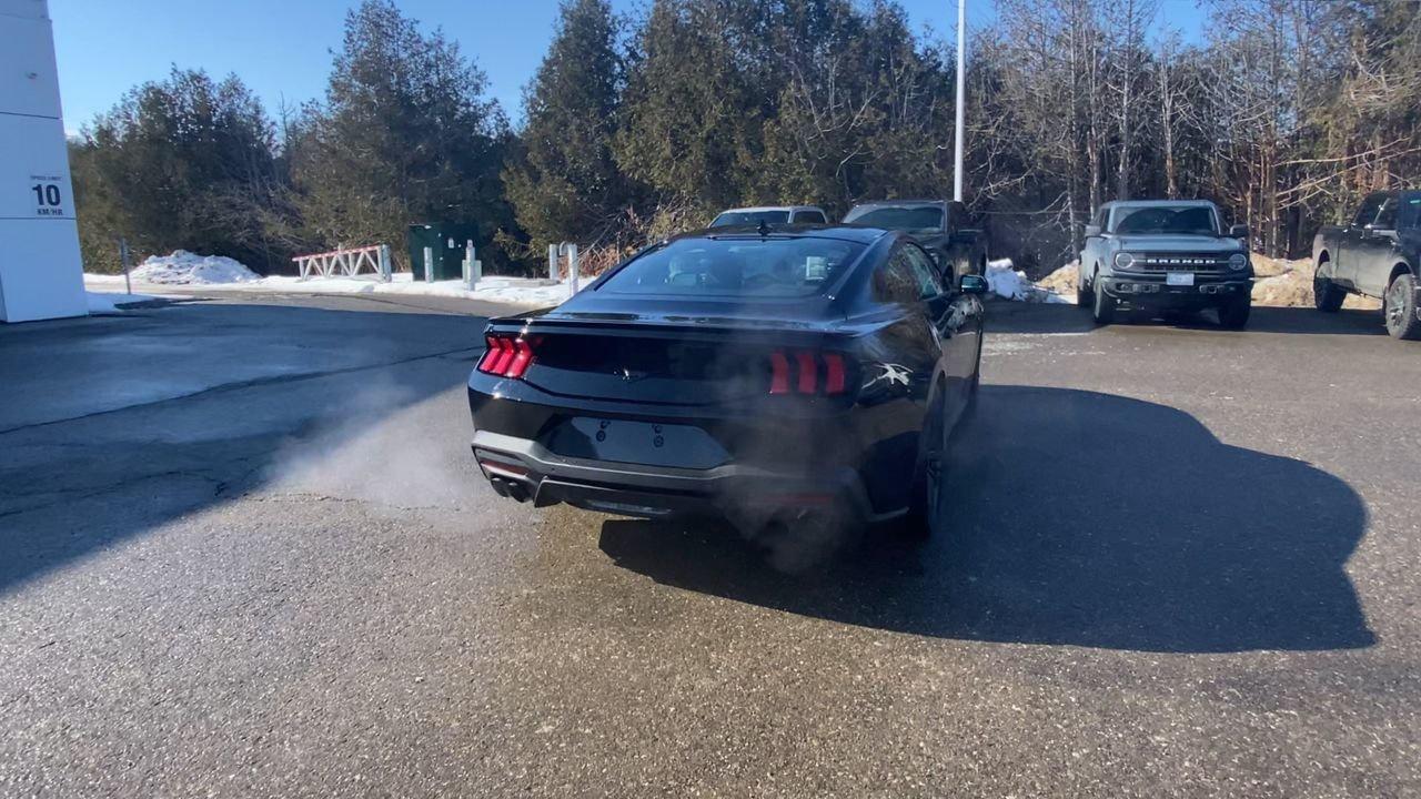 2026 Ford Mustang Fastback EcoBoost Photo