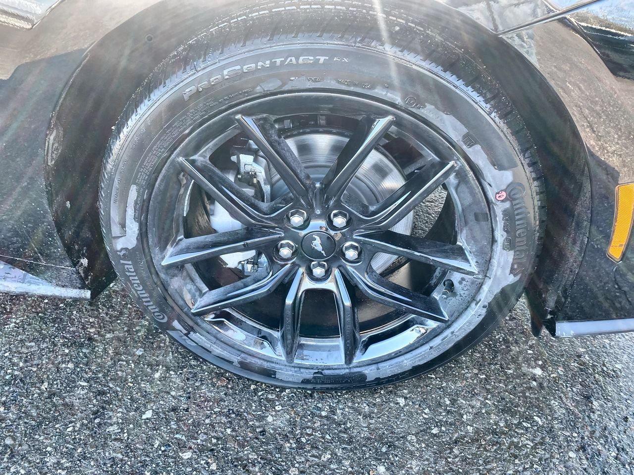 2026 Ford Mustang Fastback EcoBoost Photo