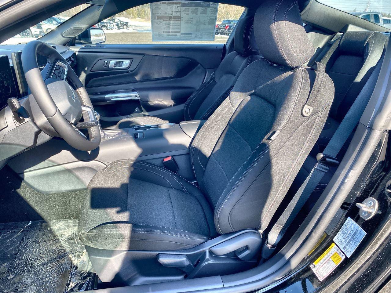 2026 Ford Mustang Fastback EcoBoost Photo