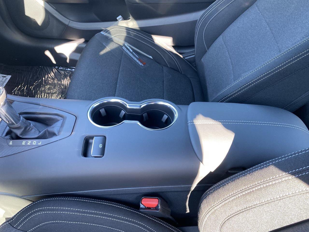 2026 Ford Mustang Fastback EcoBoost Photo