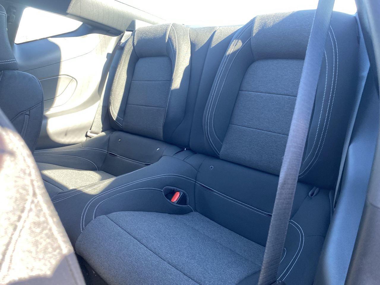 2026 Ford Mustang Fastback EcoBoost Photo