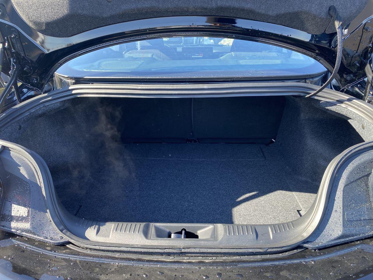 2026 Ford Mustang Fastback EcoBoost Photo