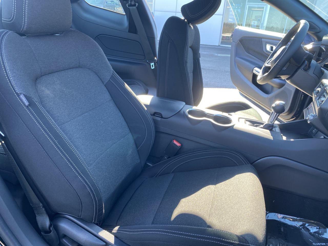 2026 Ford Mustang Fastback EcoBoost Photo