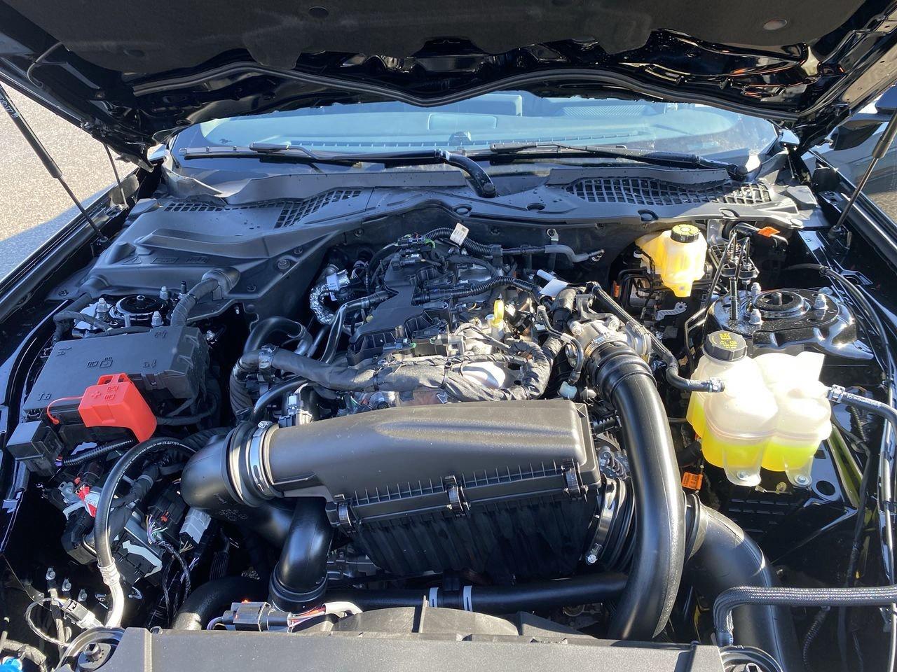 2026 Ford Mustang Fastback EcoBoost Photo