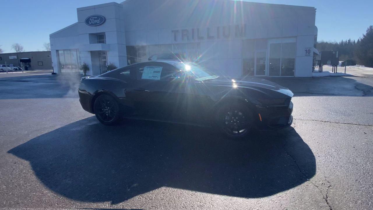 2026 Ford Mustang EcoBoost Photo