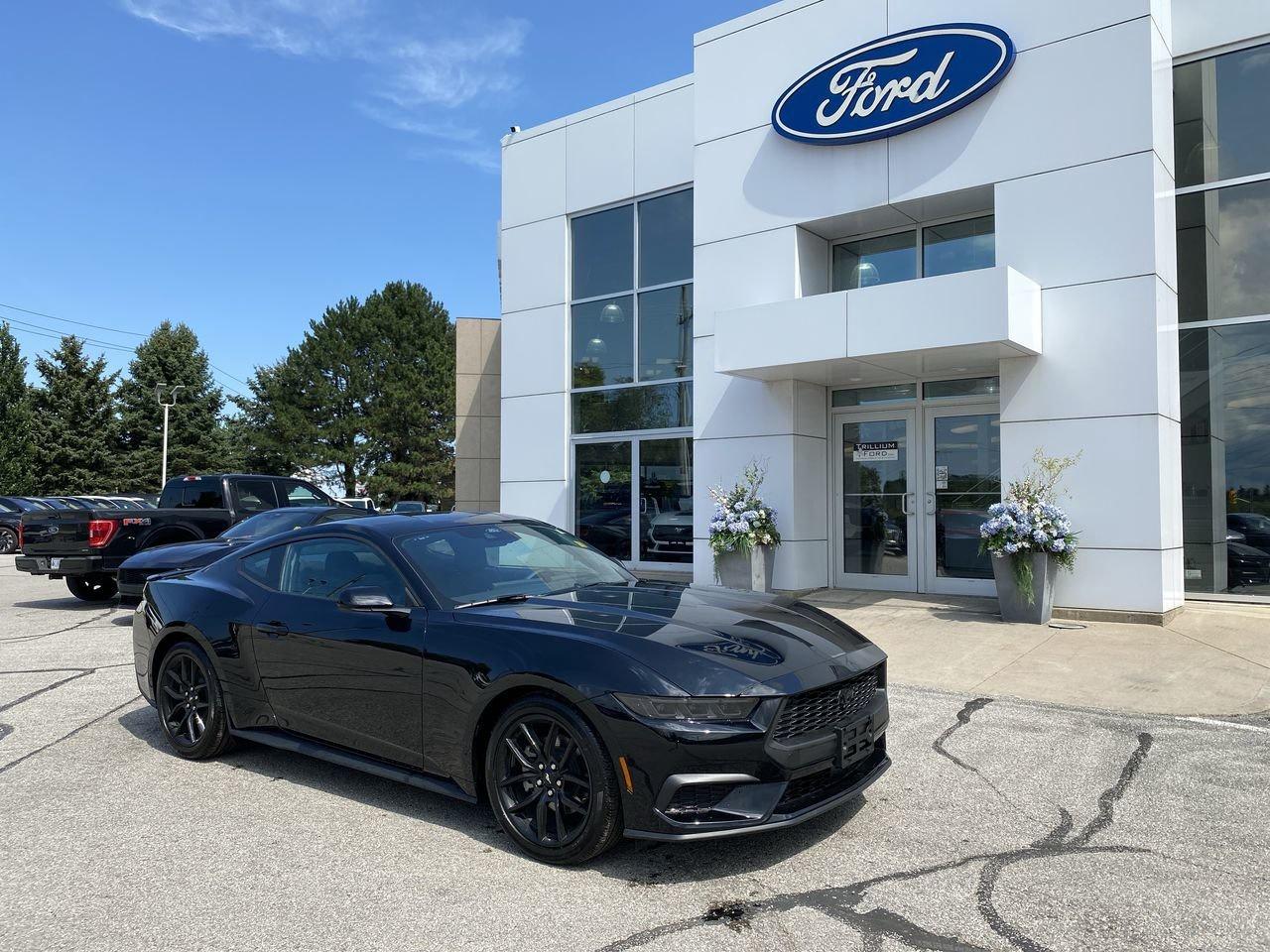 2026 Ford Mustang EcoBoost Photo0