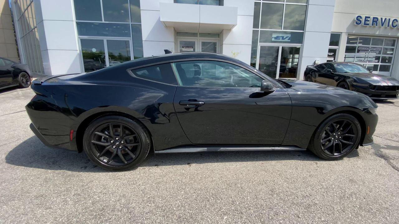 2026 Ford Mustang EcoBoost Photo