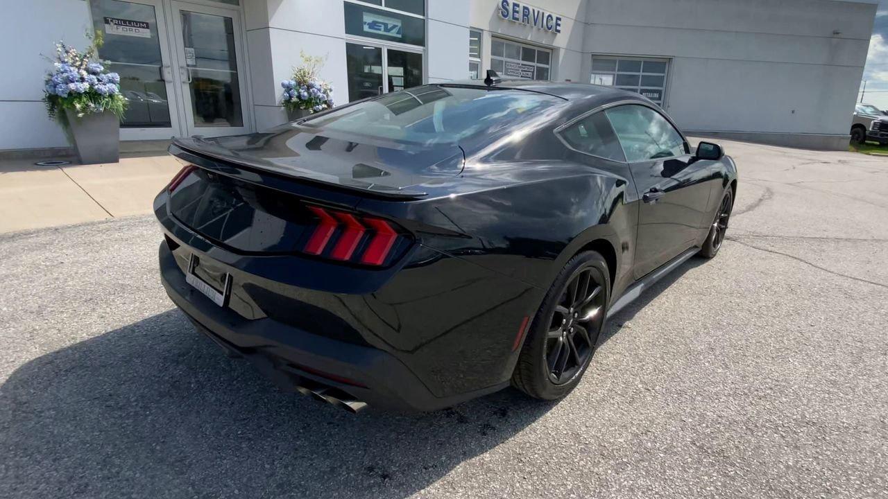 2026 Ford Mustang EcoBoost Photo