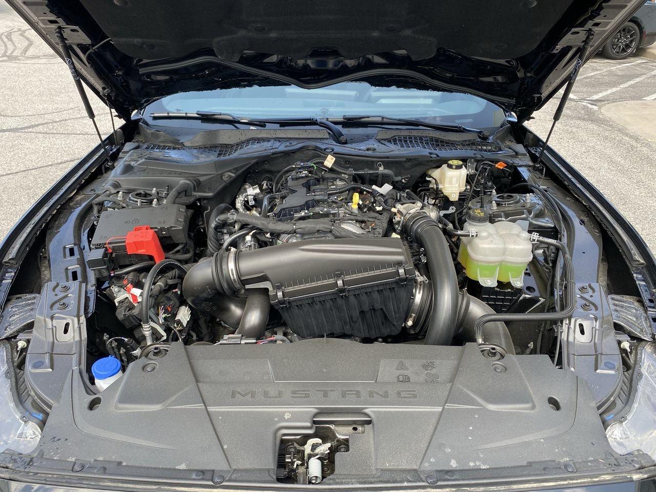 2026 Ford Mustang EcoBoost Photo