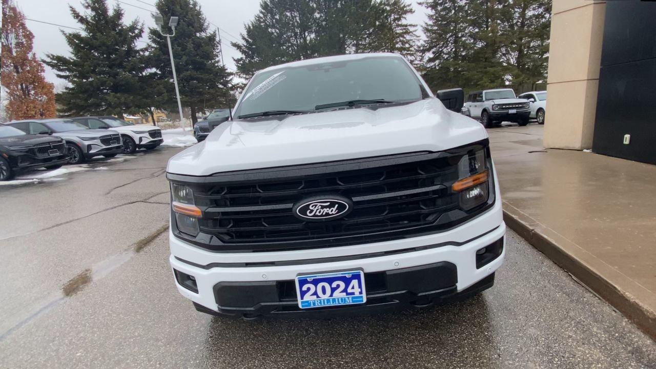 2024 Ford F-150 XLT Photo