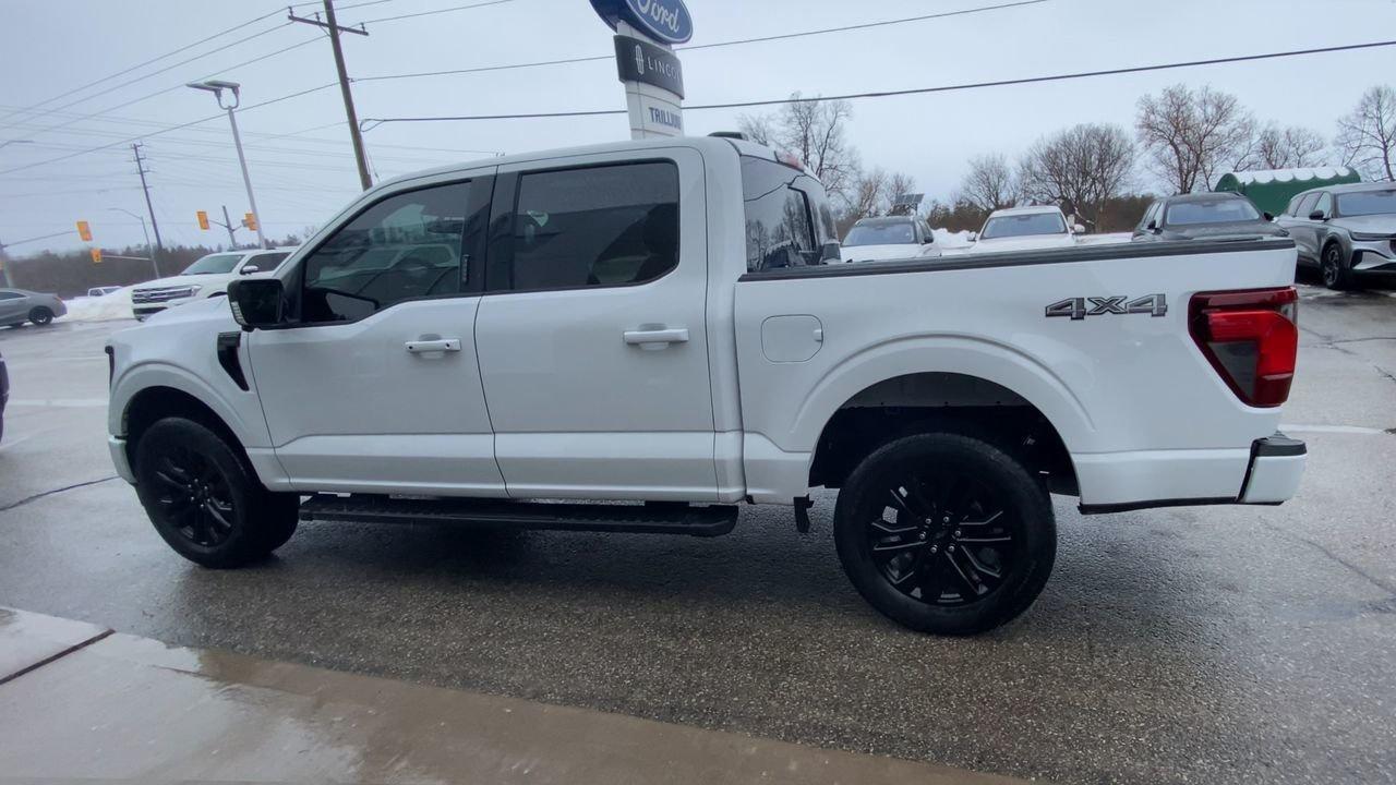 2024 Ford F-150 XLT Photo