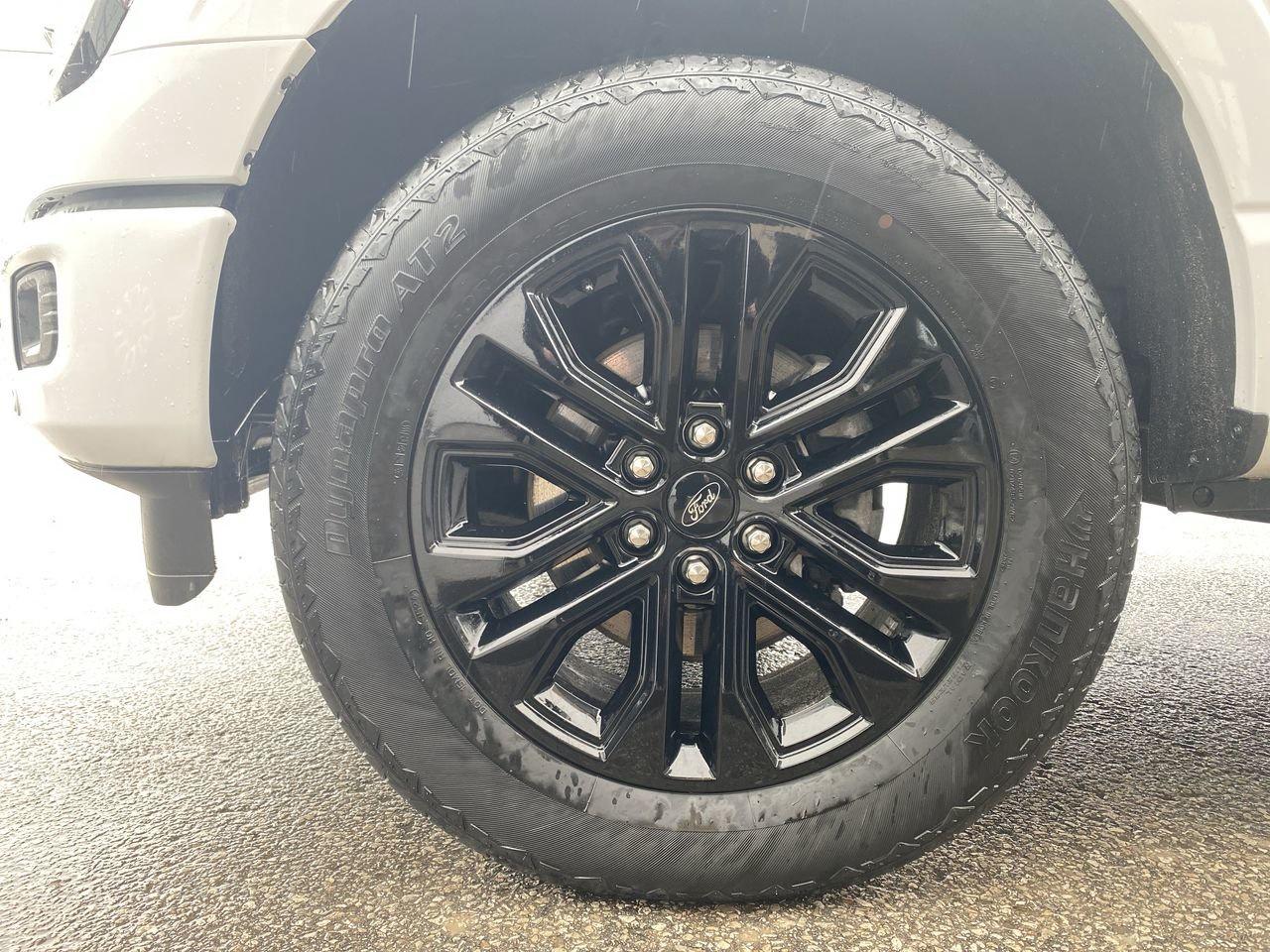 2024 Ford F-150 XLT Photo