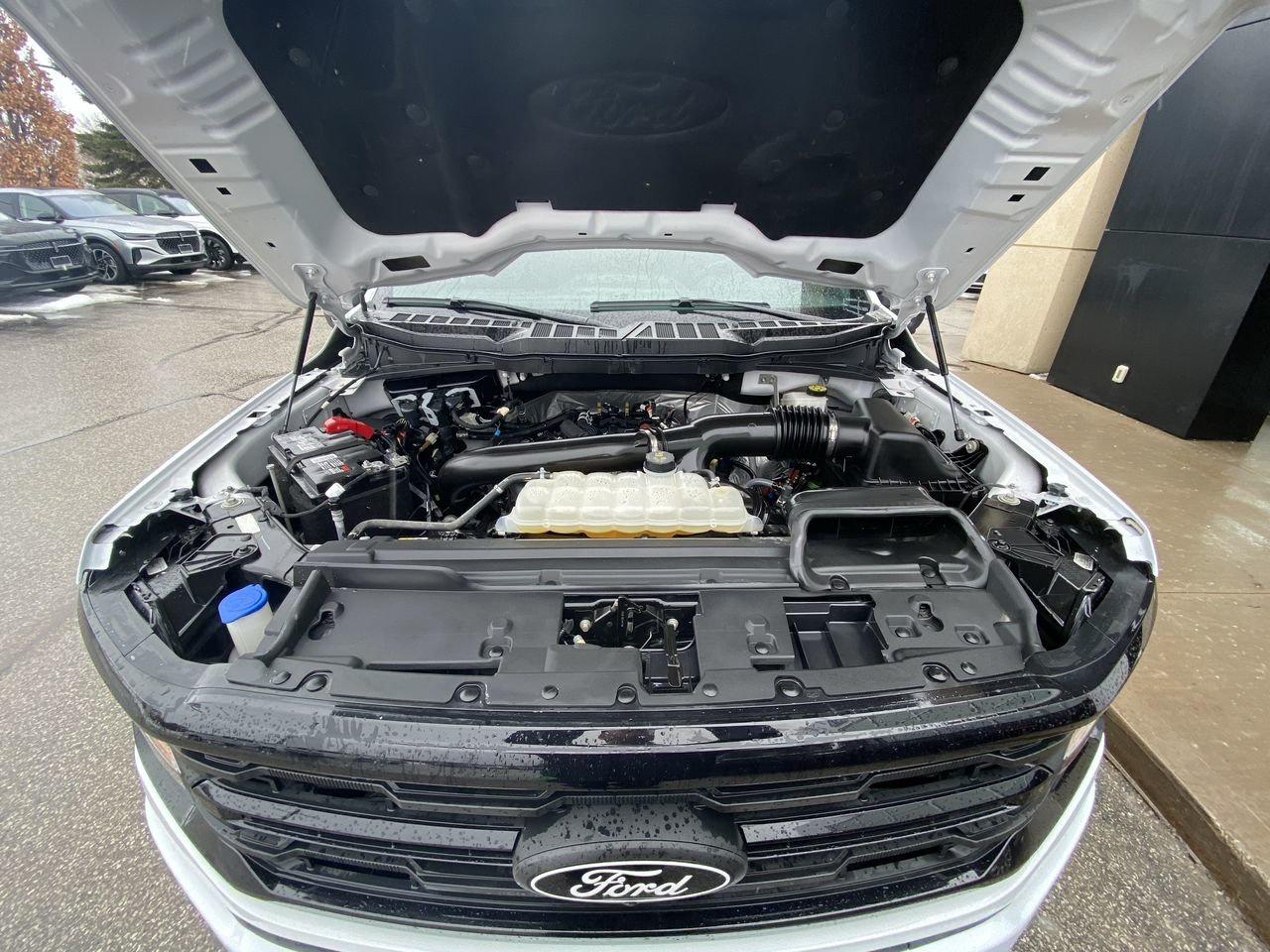 2024 Ford F-150 XLT Photo