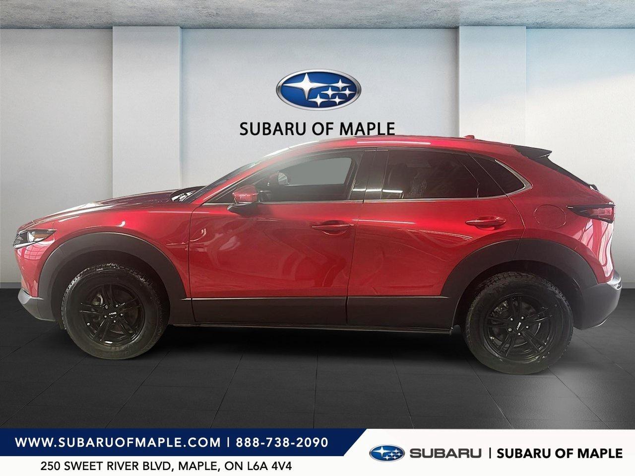 2022 Mazda CX-30 GT AWD  Clean Carfax   Low KMs   Loaded Photo4