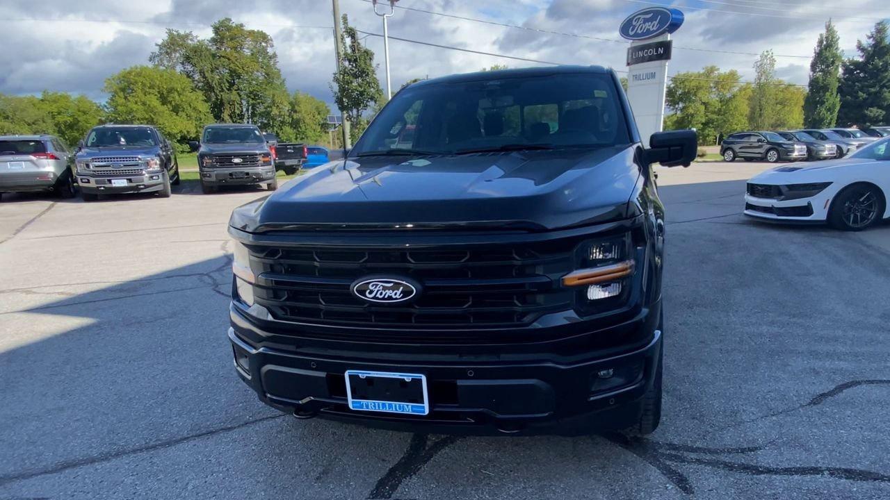 2025 Ford F-150 XLT Photo