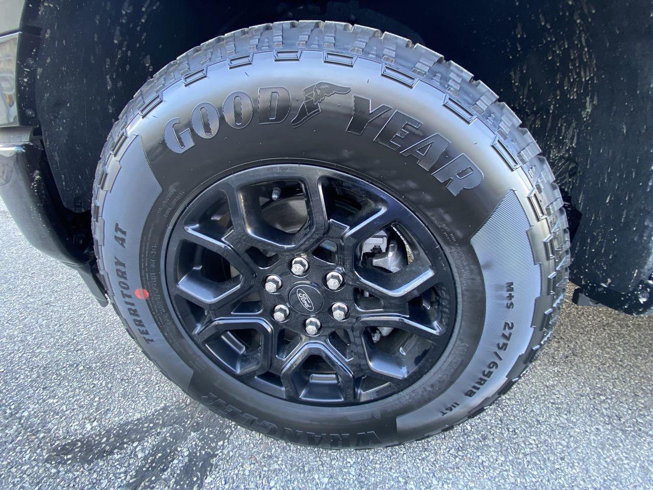 2025 Ford F-150 XLT Photo