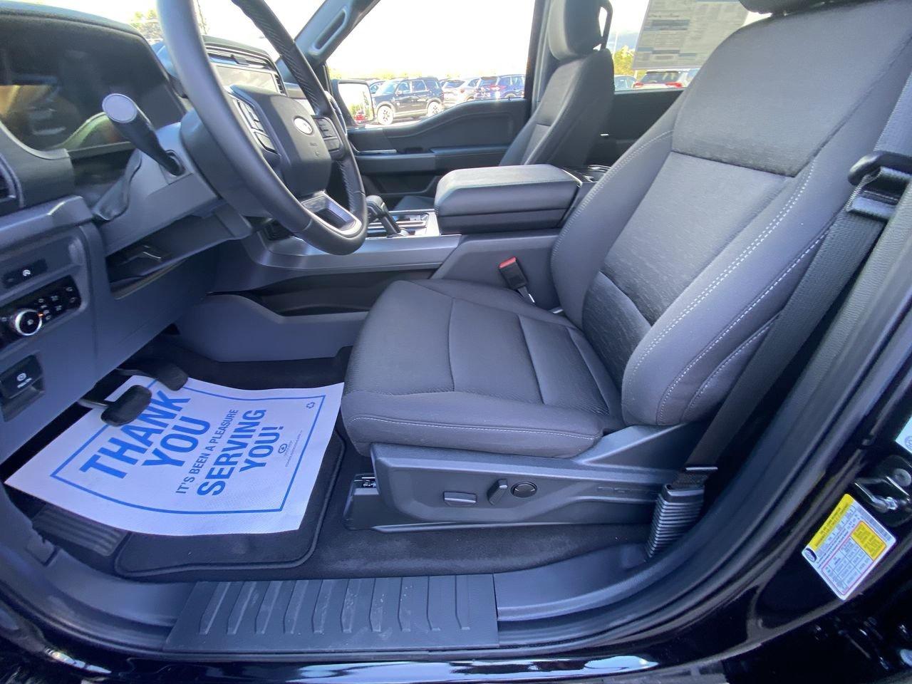 2025 Ford F-150 XLT Photo