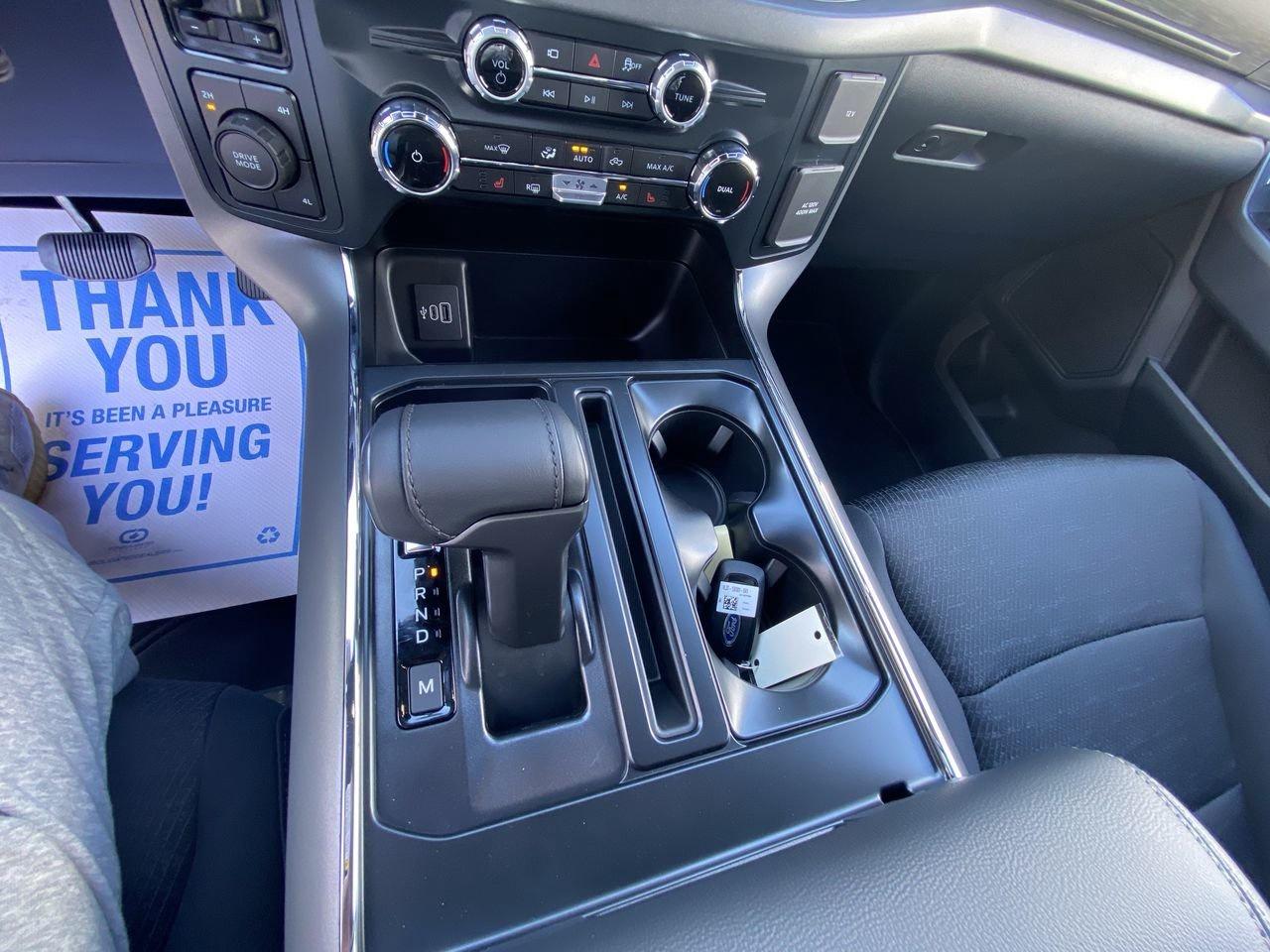 2025 Ford F-150 XLT Photo