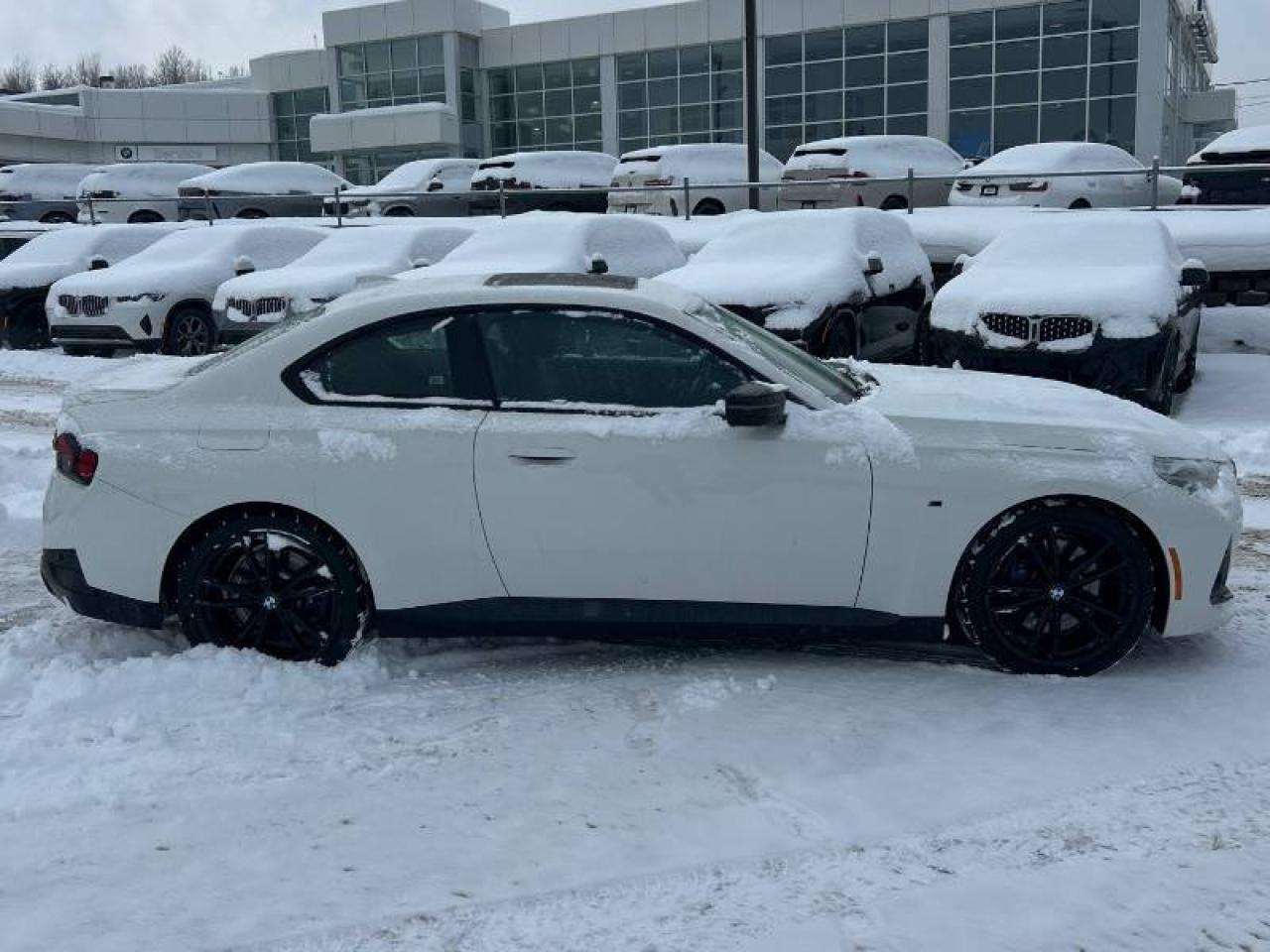 2022 BMW 2 Series No Accidents l M240i l X-Drive l 3.0 l 6Cyl Photo3