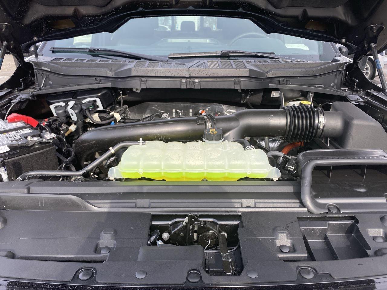 2026 Ford F-150 Lariat Photo