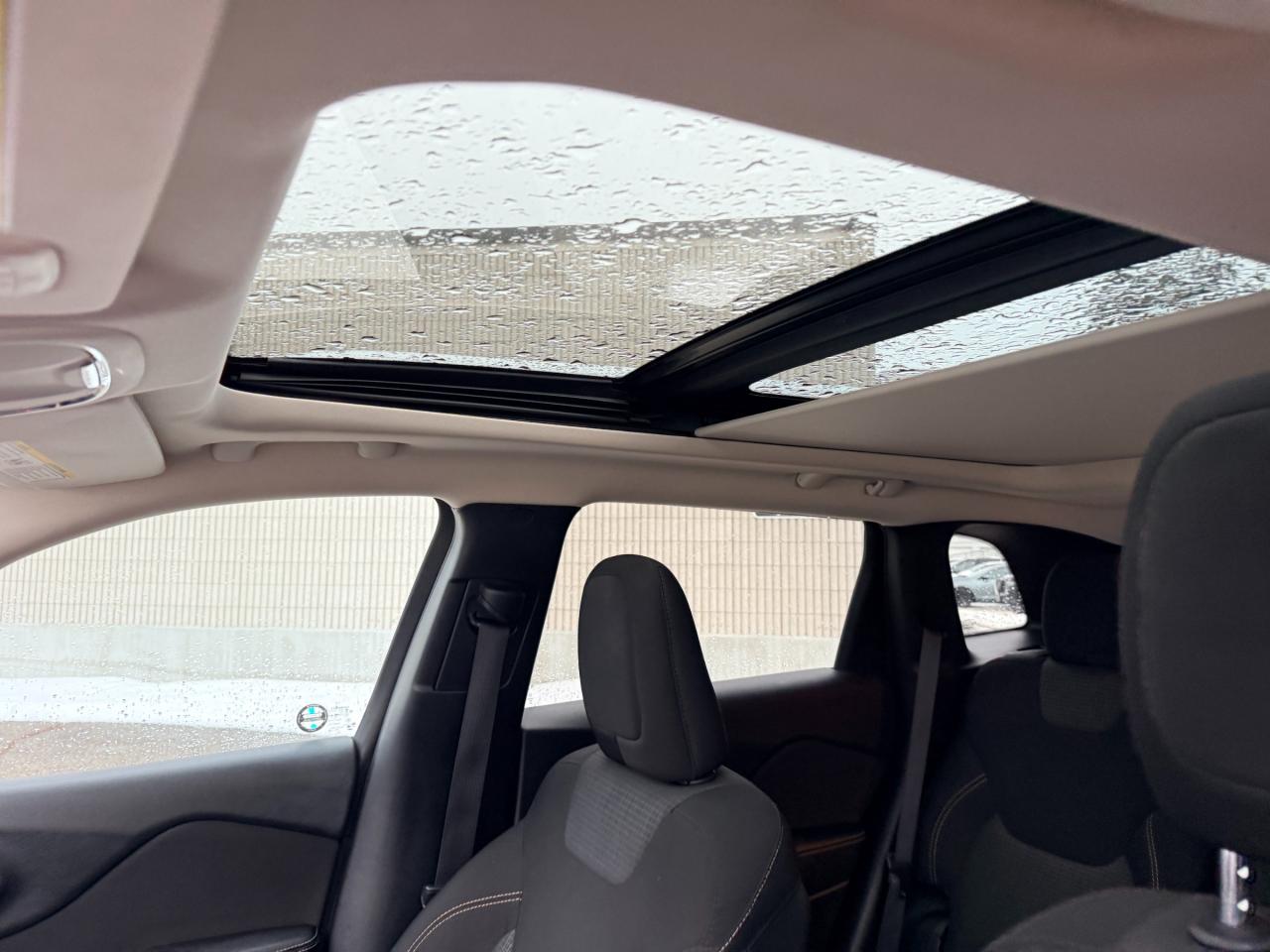 2016 Jeep Cherokee North 4dr 4x4 Photo