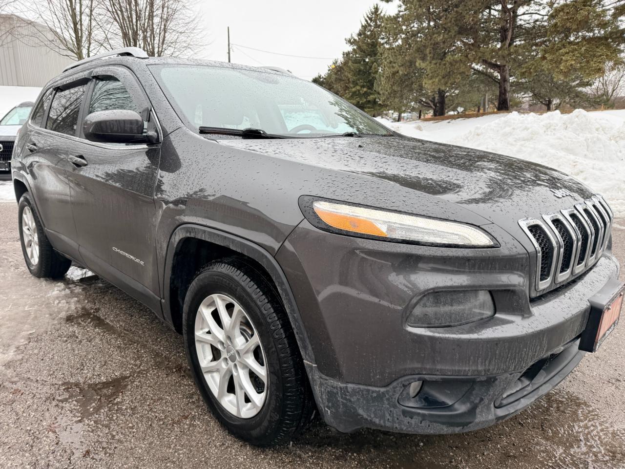 2016 Jeep Cherokee North 4dr 4x4 Photo
