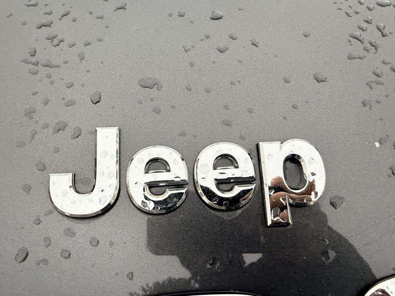 2016 Jeep Cherokee North 4dr 4x4 Photo