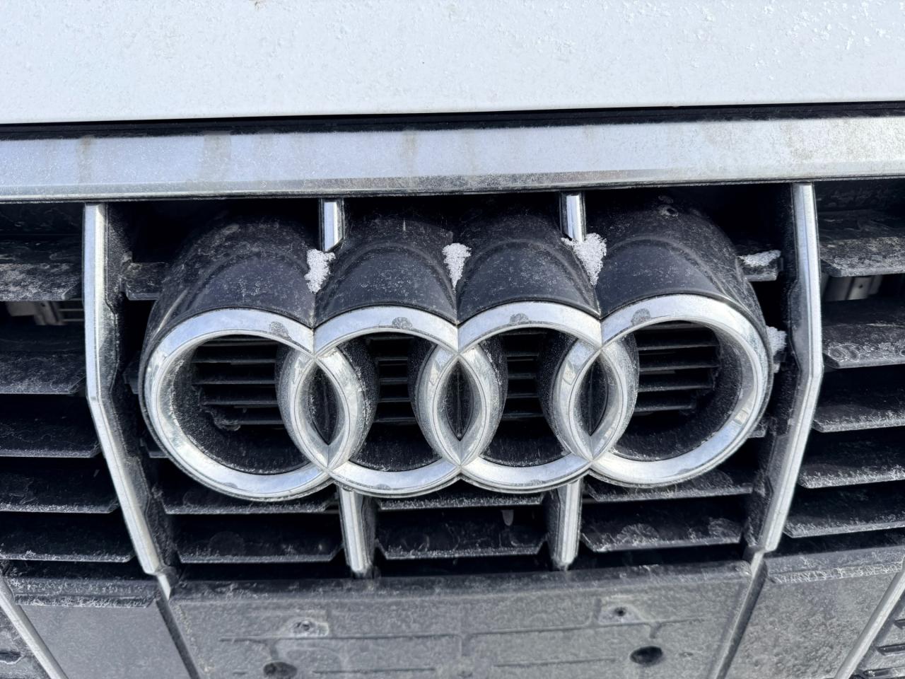 2024 Audi Q3 45 Progressiv 4dr All-Wheel Drive quattro Sport Utility Photo