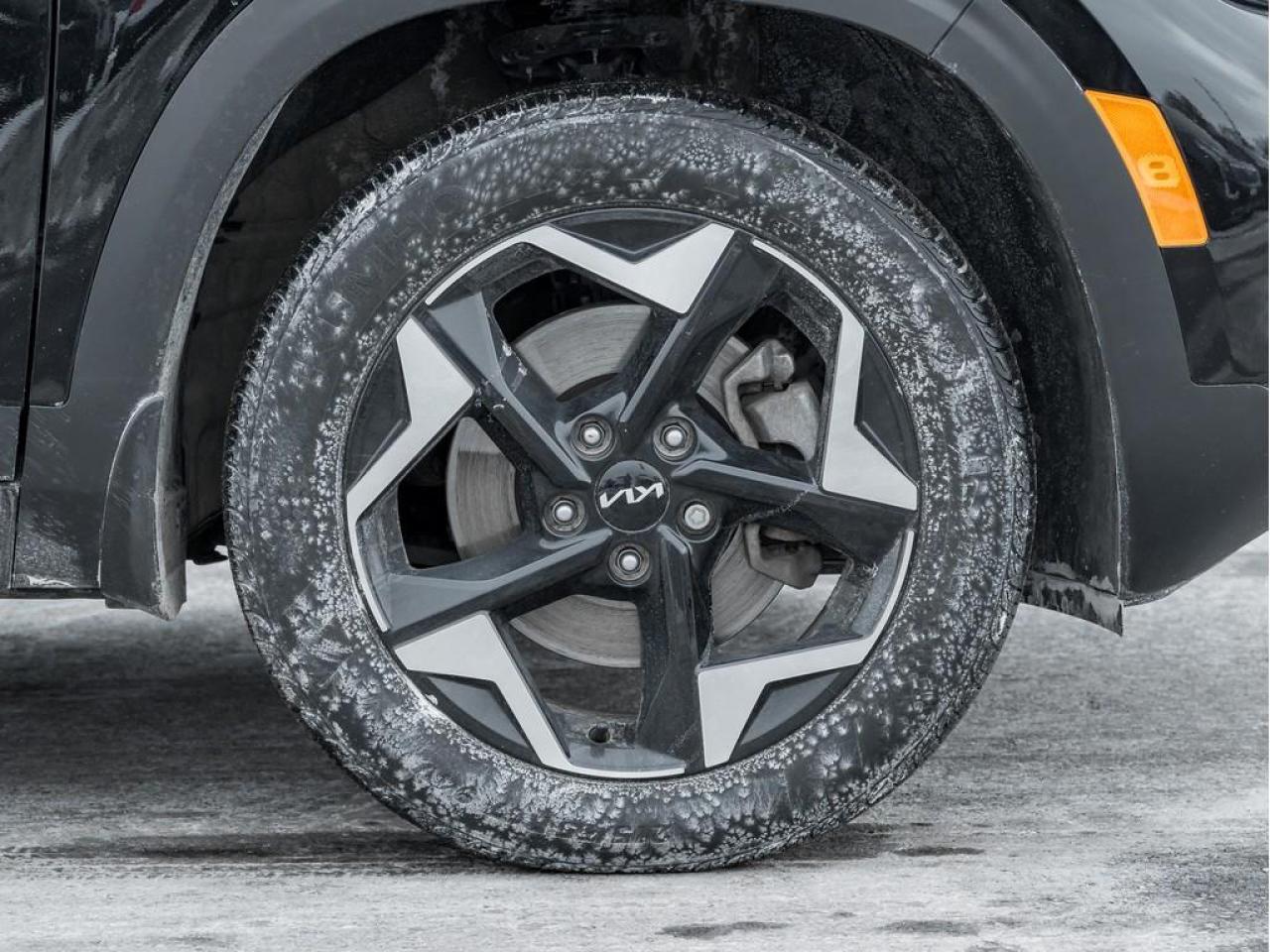 2025 Kia Seltos EX Premium 4dr All-Wheel Drive Photo