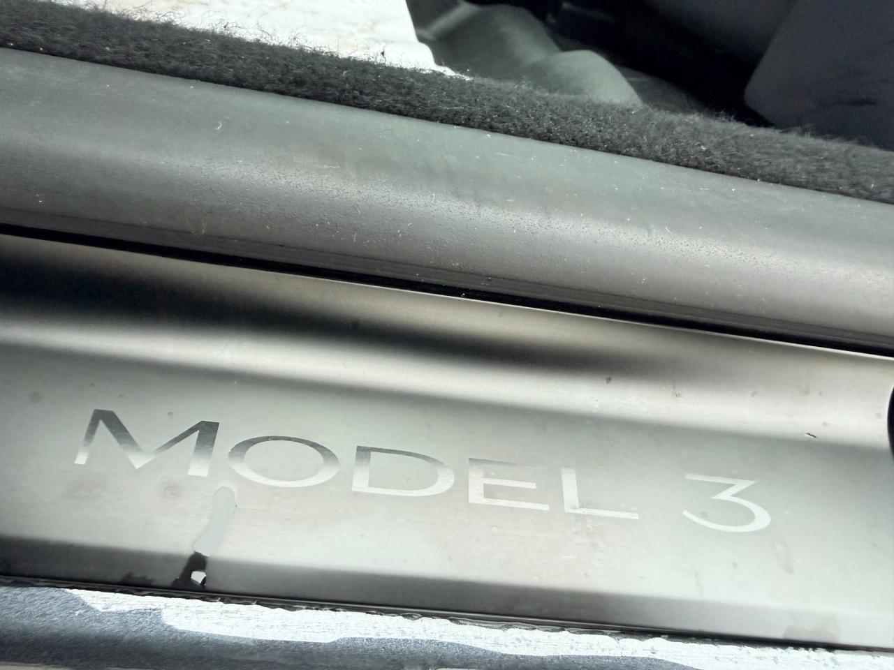 2024 Tesla Model 3 Long Range 4dr All-Wheel Drive Sedan Photo