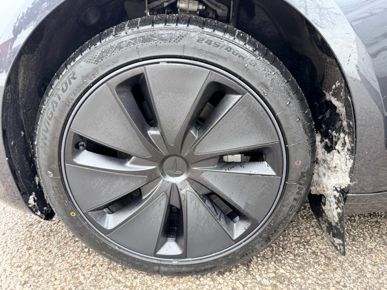 2024 Tesla Model 3 Long Range 4dr All-Wheel Drive Sedan Photo