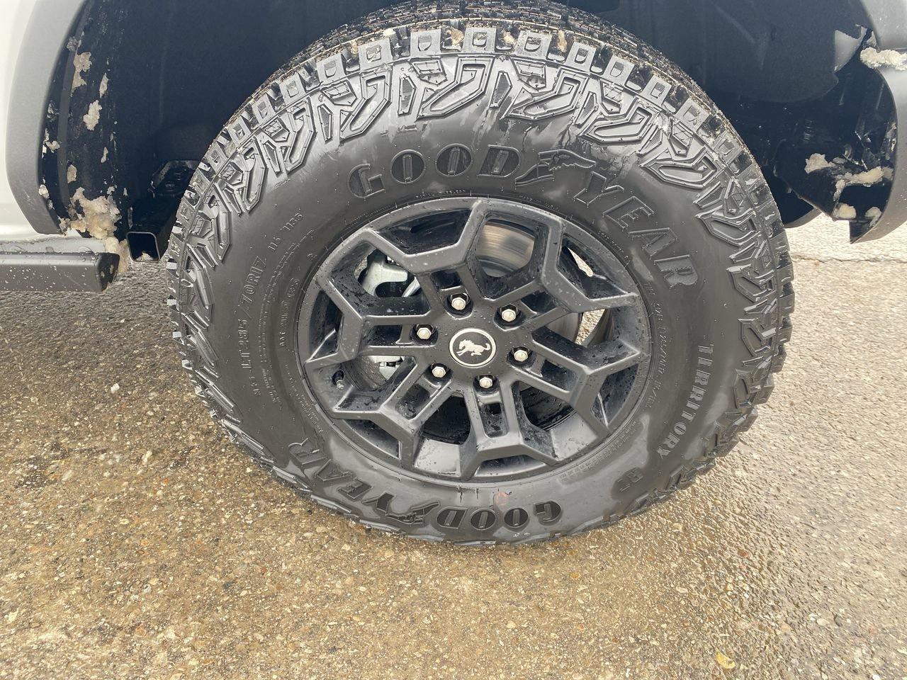 2026 Ford Bronco 4 Door Badlands Photo