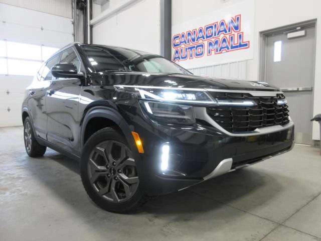 2024 Kia Seltos EX AWD, ROOF, HEATED LEATHER, APPLE/ANDROID, 74K! Photo