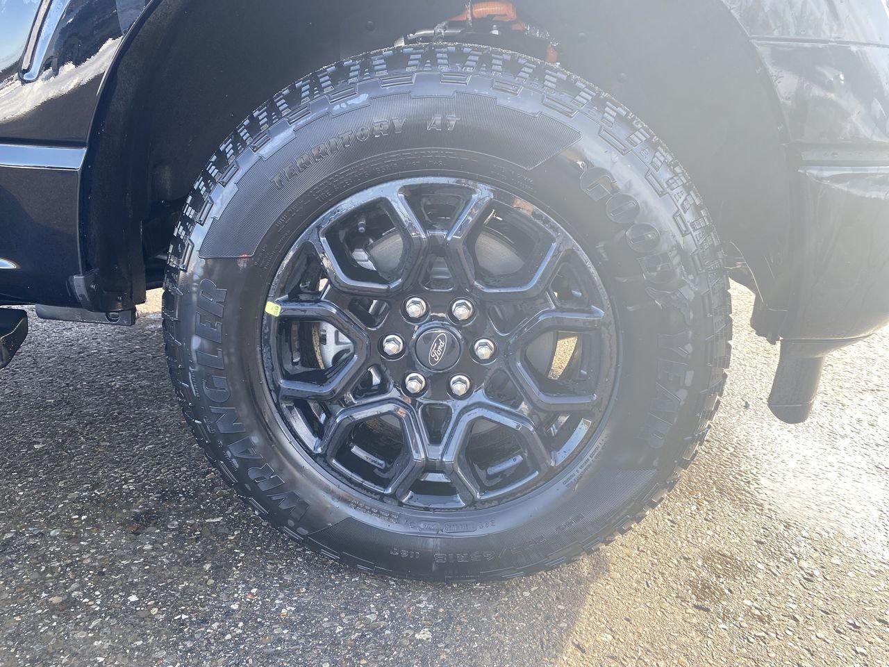 2026 Ford F-150 XLT Photo