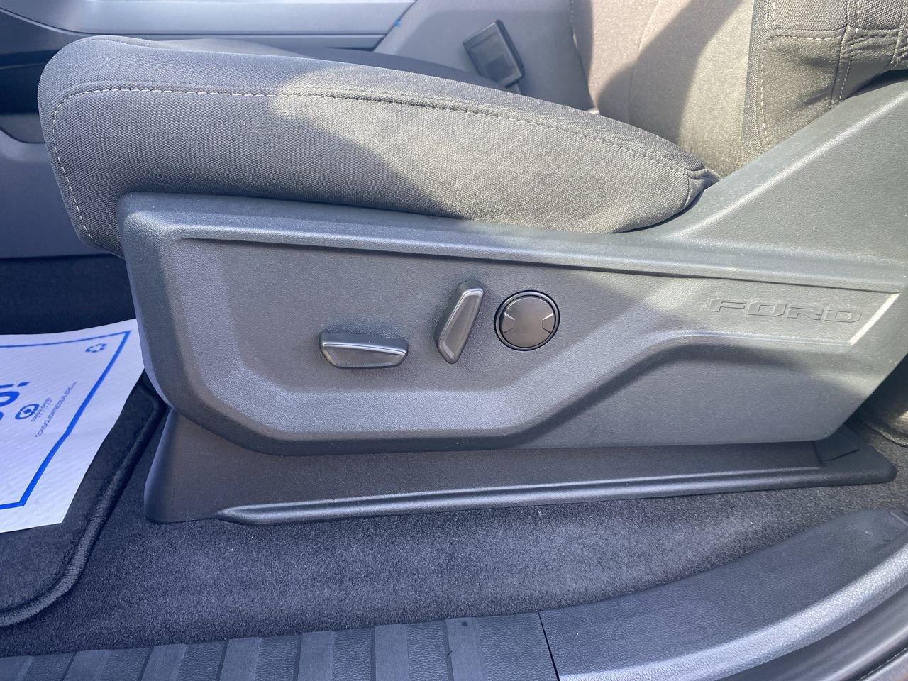 2026 Ford F-150 XLT Photo