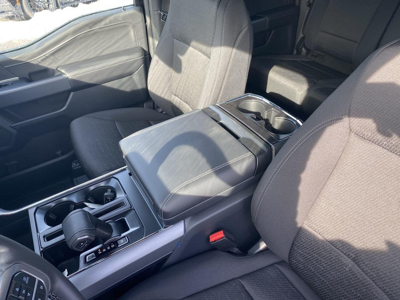 2026 Ford F-150 XLT Photo