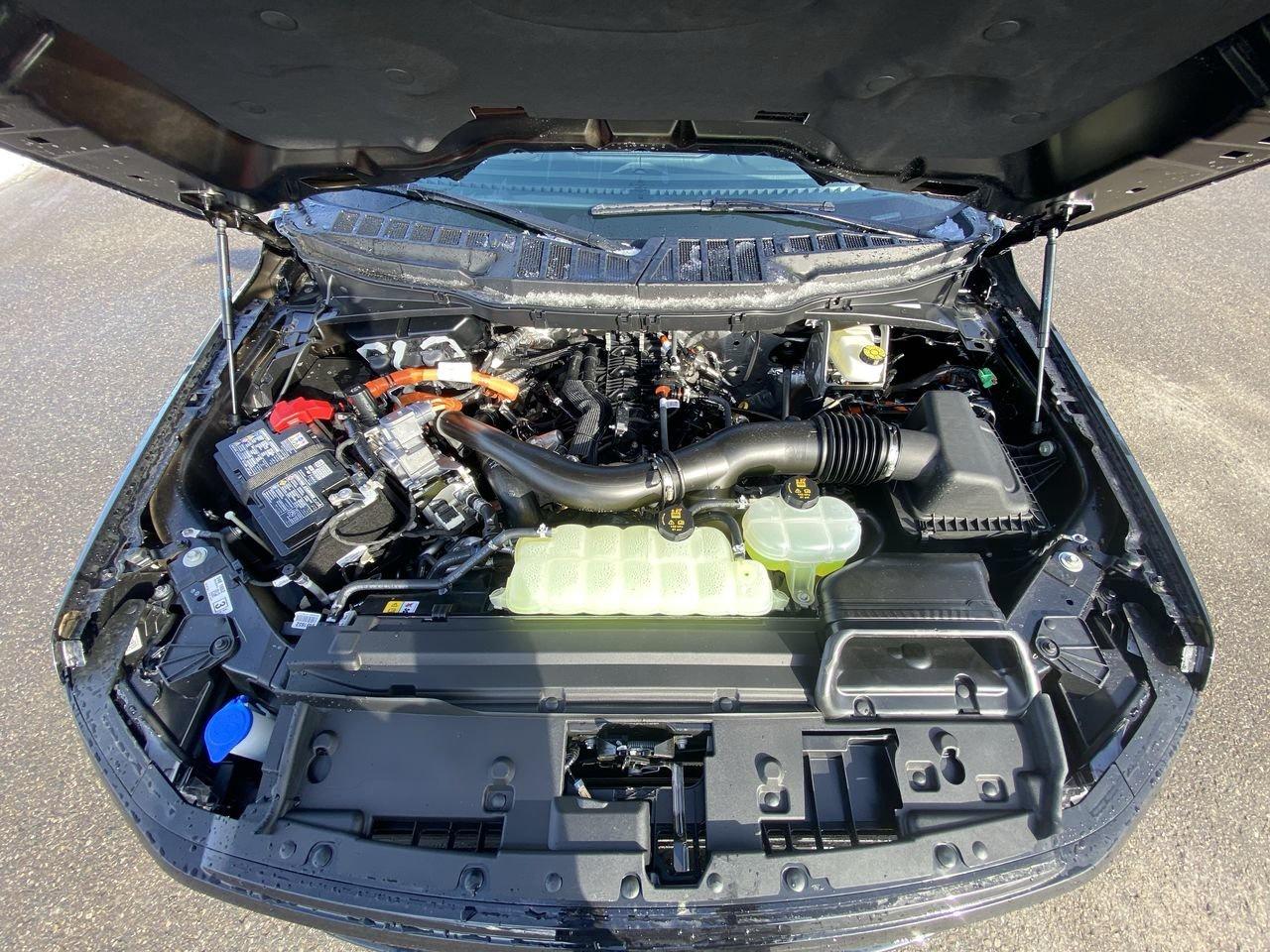 2026 Ford F-150 XLT Photo