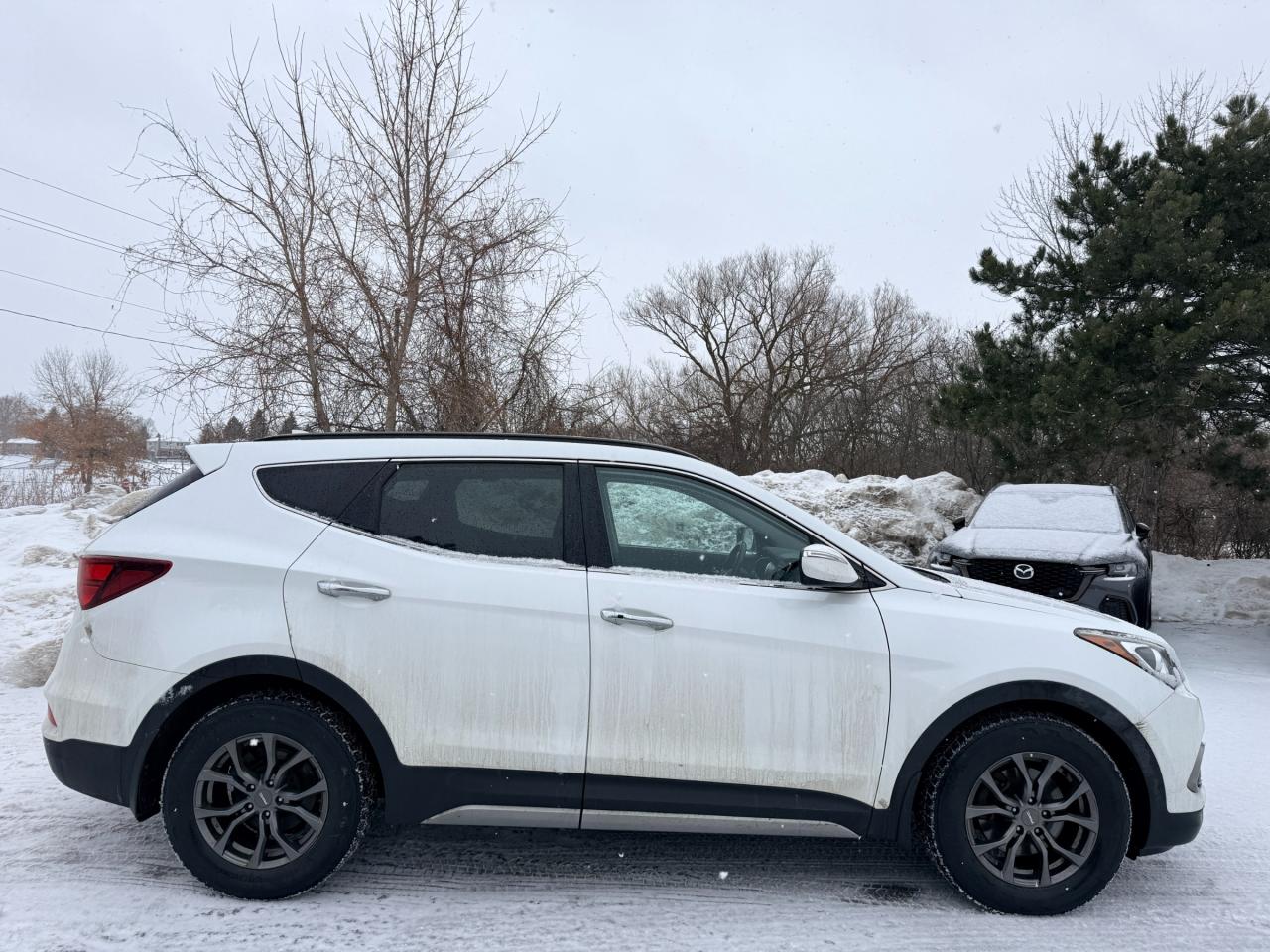 2017 Hyundai Santa Fe Sport 2.0T Limited (A6) 4dr All-Wheel Drive Photo