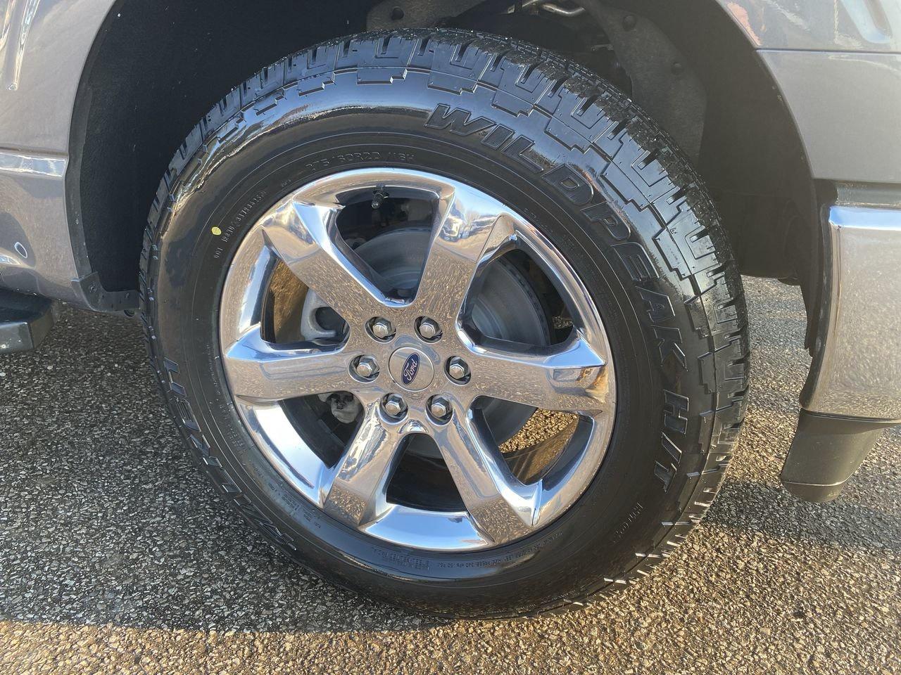 2022 Ford F-150 XLT Photo