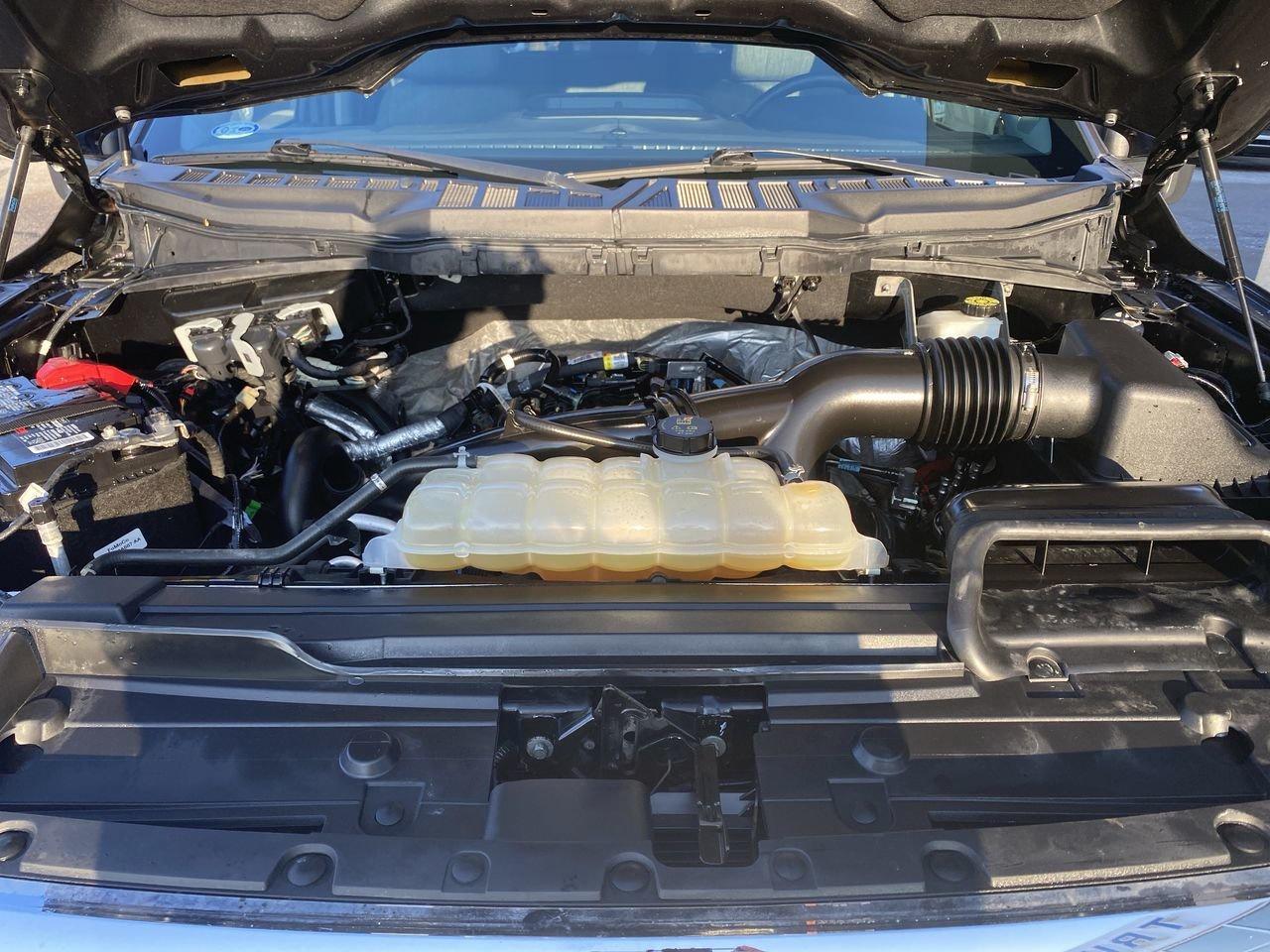 2022 Ford F-150 XLT Photo