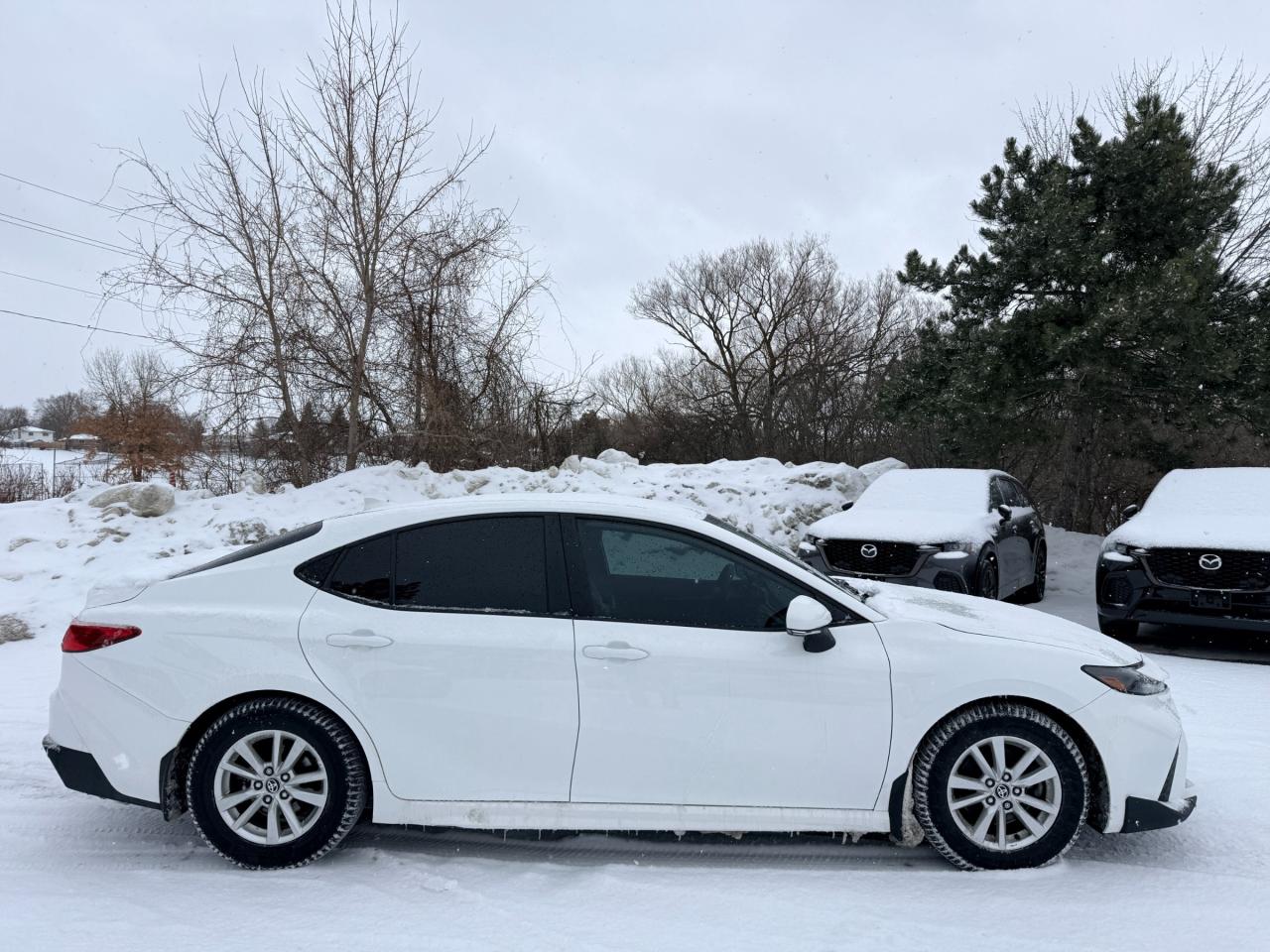 2025 Toyota Camry SE 4dr Front-Wheel Drive Sedan Photo